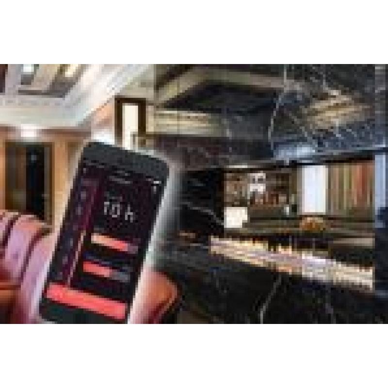 Автоматический топливный блок Decoflame Denver Automatic Fire по цене 585 900 руб.