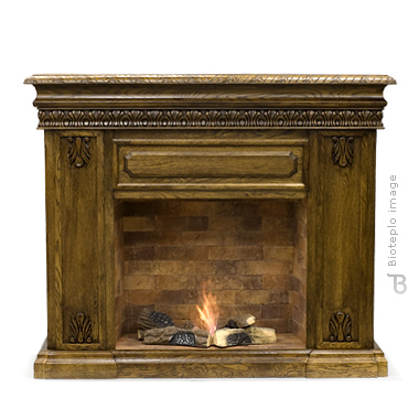 Биокамин Bioteplo Gentleman